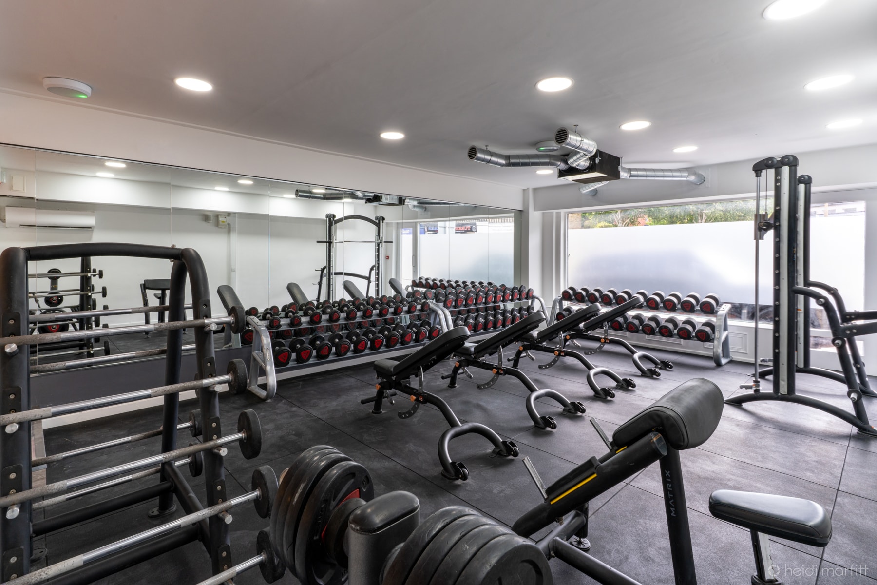 Squats gym — free weights and benches